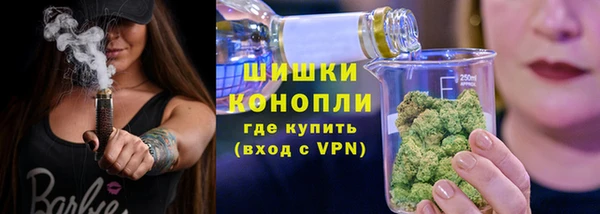 ПСИЛОЦИБИНОВЫЕ ГРИБЫ Белокуриха