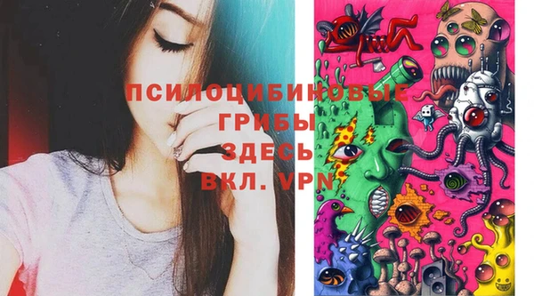 таблы Богданович