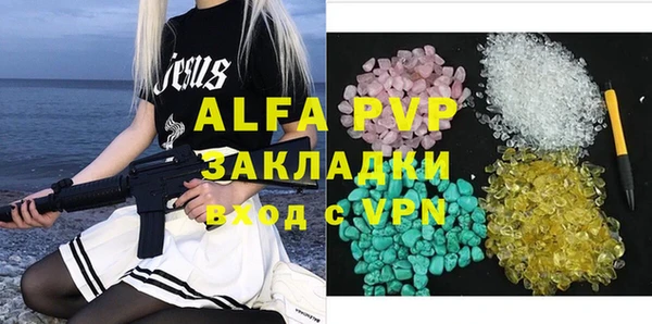 ECSTASY Бородино