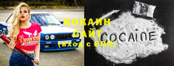 дмт Богородицк