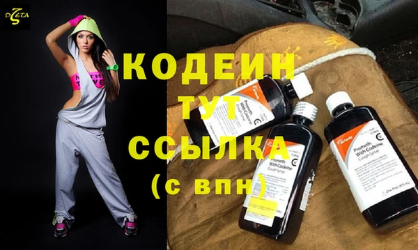 ECSTASY Бородино