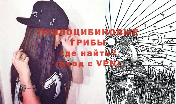 дмт Богородицк