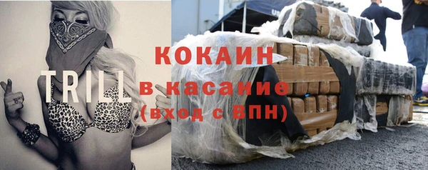 дмт Богородицк