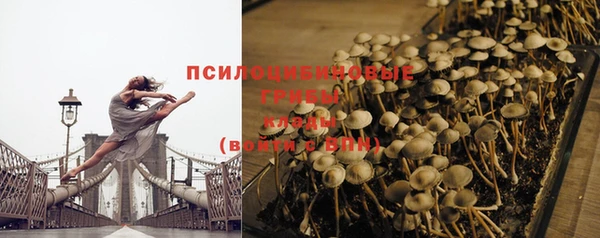 дмт Богородицк