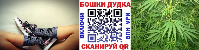 Бошки Шишки семена  Белогорск 